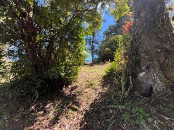 Venta de Lote en Dota Jardín, San José. RAH 26-1166 in Jardín, Dota, San José — $438,870