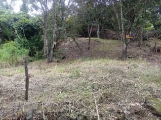 PRECIO DE OPORTUNIDAD! Terreno en Orotina en Hacienda Vieja, Orotina, Alajuela — 36 575 000 ₡ - Foto 3 de 11