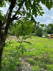 Land For Sale La Virgen, Sarapiquí, Heredia