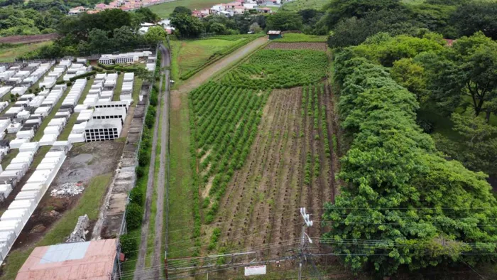 Venta lote BELEN ALAJUELA en San Rafael, Alajuela — $900,000 - Foto 3 de 5