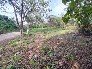 Eco-Coastal Lots with Community Garden & Walkable Design en Cuajiniquil, Santa Cruz, Guanacaste — $135,000 - Foto 4 de 19