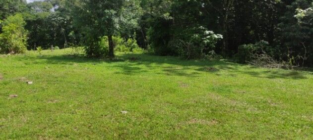 Se vende o se cambia  in La Tigra, San Carlos, Alajuela — ₡ 49 000 000