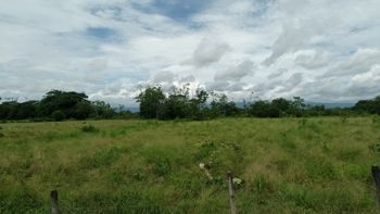 Finca en venta Guapiles, Pococi, desarrollo 5PIV5398744 in Rita, Pococí, Limón — $1,575,000 - Photo 4 of 10