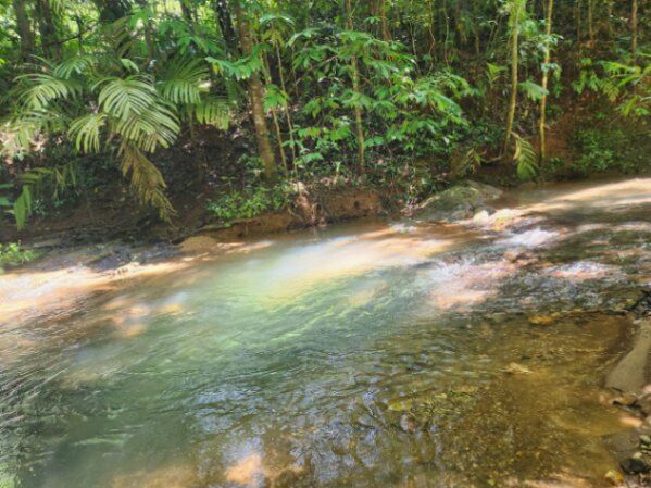 Se vende propiedad de 8 hectáreas  en Carara, Turrubares, San José — ₡ 4 000 000