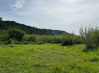 VENTA DE IMPRESIONANTE PROPIEDAD DE 32 HECTÁREAS – TRES RÍOS, CARTAGO en San Rafael, La Unión, Cartago — $20,800,000 - Foto 5 de 13