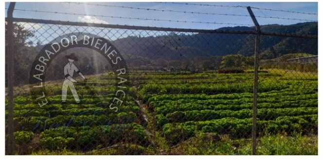 Se vende terreno industrial en la Lima de Cartago, 29637 m2, USD $4.300.000 in Occidental, Cartago — $4,300,000