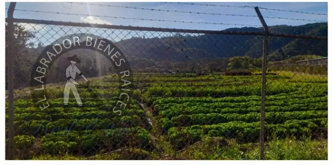 Se vende terreno industrial en la Lima de Cartago, 29637 m2, USD $4.300.000 in Occidental, Cartago — $4,300,000