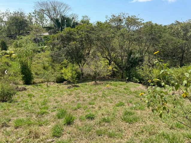 Lote en Comunidad Orgánica y Regenerativa en San Isidro in Cóbano, Puntarenas — $140,000