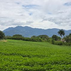 Vendo Lote en San Rafael de Alajuela. Uso de Suelo Mixto - Foto 3 de 3