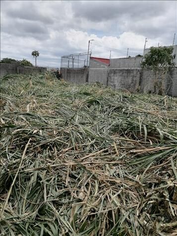Terreno amplio Mercedes Norte Heredia in Mercedes, Heredia — ₡ 99 500 000 - Photo 3 of 4