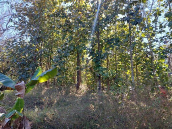 Venta de Lote en Nicoya, Guanacaste. RAH 26-350 PRECIO REBAJADO in Mansión, Nicoya, Guanacaste — $250,000
