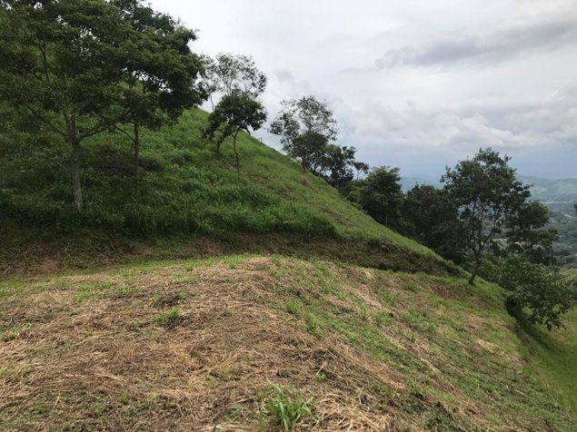 Venta de Lotes #14 de 7000 metros Bario Jesús Atenas en Atenas, Alajuela — $90,000 - Foto 2 de 21