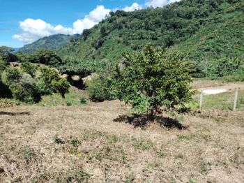 Venta Lote en Dota en Santa María, Dota, San José — 28 000 000 ₡ - Foto 4 de 11