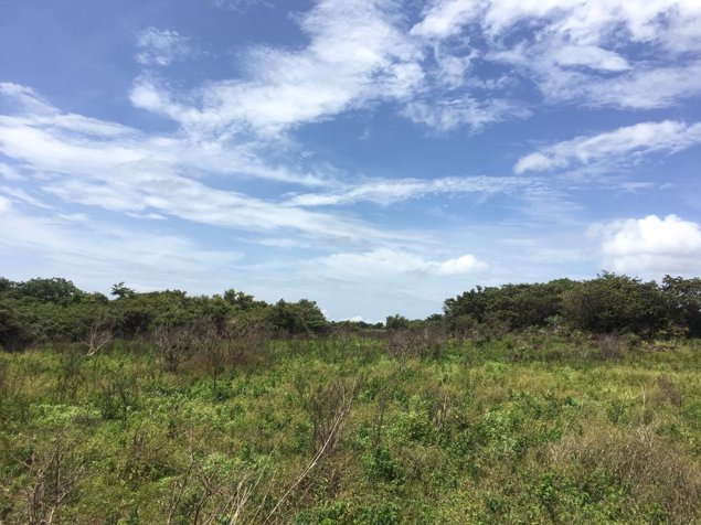 Finca de 1123 Ha para ganado de engorde en Cañas en Cañas, Guanacaste — $6,000,000
