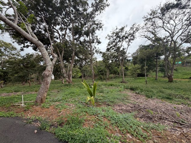 Se venden dos lotes contiguos en Atenas, en un entorno tipo parque in Atenas, Alajuela — $171,000 - Photo 3 of 11