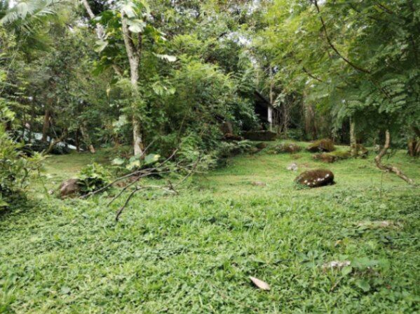 VENTA DE LOTE, SAN JOSÈ MORA, $1.300.000 COD#24-840 en Colón, Mora, San José — $1,300,000