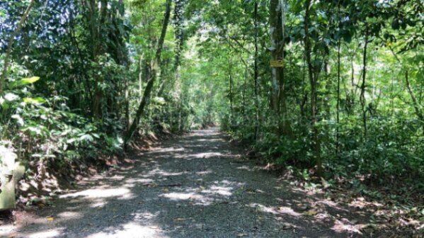 Venta | Finca con río, catarata y enorme potencial turístico en San Carlos #26-2253 GS en Florencia, San Carlos, Alajuela — $3,500,000