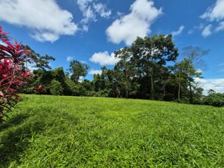 🌿 LOTE EN VENTA EN BUENOS AIRES – CALLE MANZANO en Guápiles, Pococí, Limón — 35 000 000 ₡ - Foto 4 de 6