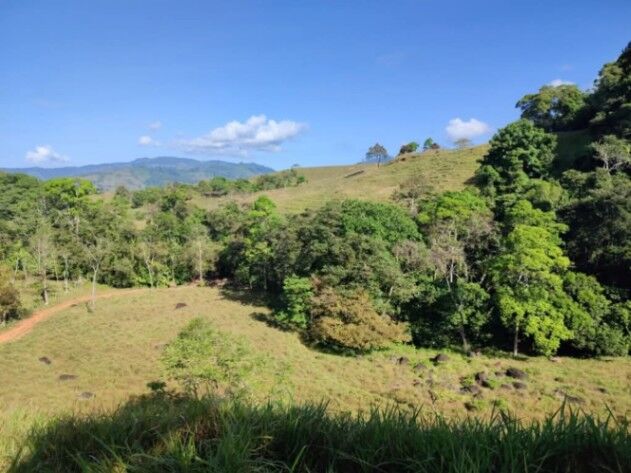 SE VENDE ESPECTACULAR FINCA EN BARÚ, PÉREZ ZELEDÓN.  en Barú, Pérez Zeledón, San José — $1,750,000