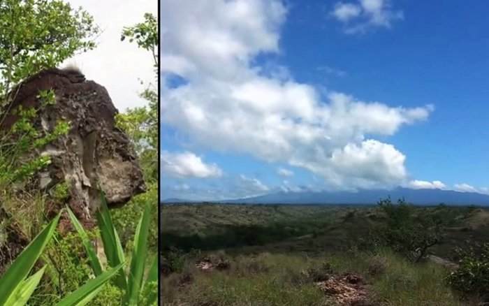 Finca agrícola 231 Ha potencial ecologico Bagaces en Bagaces, Guanacaste — $924,000 - Foto 3 de 19