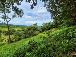 3+ Acres con rio en La Bonita de Rivas in Rivas, Pérez Zeledón, San José — $122,000 - Photo 5 of 13
