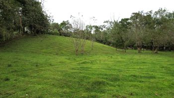 Finca en venta Florencia de San Carlos in Florencia, San Carlos, Alajuela — $440,000 - Photo 4 of 13