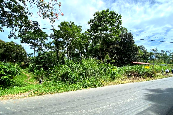 Lote En Venta En Limón Calle Moín in Limón — $86,105 - Photo 3 of 10
