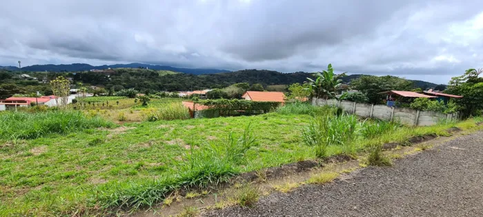 LOT FOR SALE IN SAN RAMON, ALAJUELA in San Ramón, Alajuela — $88,000