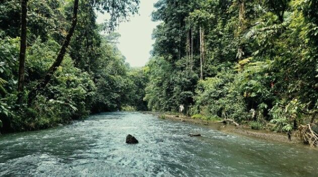 Propiedad de Eco-Lodge– The Jungle Getaway en Bahía Drake, Osa, Puntarenas — $4,000,000