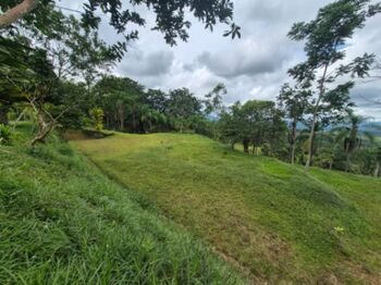 1+ hectare con vista en Miravalles, Perez Zeledon en Daniel Flores, Pérez Zeledón, San José — $159,999 - Foto 5 de 9