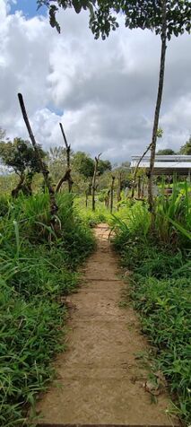 Hermosa finca ganadera de 15ha en Guatuso de Alajuela. in San Rafael, Guatuso, Alajuela — ₡ 200 000 000