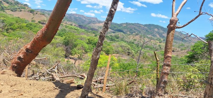 Hermosa finca en lugar súper tranquilo y a 45 minutos de la costa in Zapotal, Nandayure, Guanacaste — ₡ 135 360 000