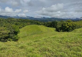 Farm For Sale San Vito, Coto Brus, Puntarenas