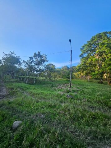 BELLA Y ÚTIL FINCA EN SAN JUAN NORTE DE TURRIALBA.  en Turrialba, Cartago — ₡ 500 000 000