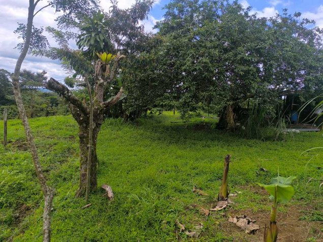 Hermosa Finca en San Ramón de La Virgen de Sarapiquí in La Virgen, Sarapiquí, Heredia — ₡ 90 000 000 - Photo 2 of 12