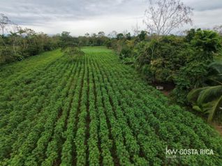 Terreno 7168m2 en venta en Florencia, San Carlos, Alajuela — 35 000 000 ₡ - Foto 2 de 5