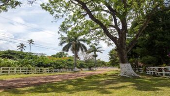 Finca en Venta Cañas, Cañas, Guanacaste