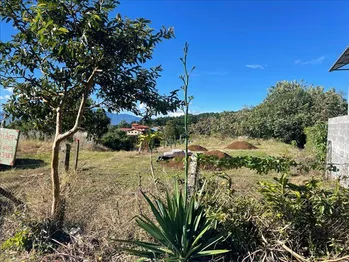 VENDO finca en BREÑA DE MORA, CONCEPCION, SAN RAFAEL