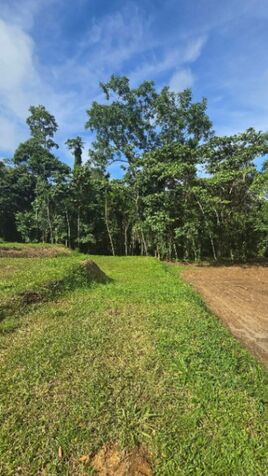 Lote con Río y Bosque en La Fortuna a 3km  en La Fortuna, San Carlos, Alajuela — ₡ 45 900 000