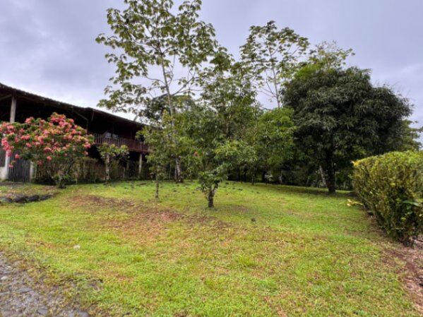 Se vende lote en San Isidro  #66 🏡 en Peñas Blancas, San Ramón, Alajuela — ₡ 13 000 000