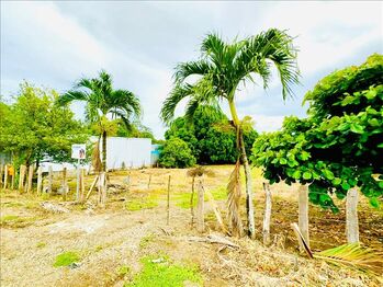 Finca en Venta Tamarindo, Santa Cruz, Guanacaste