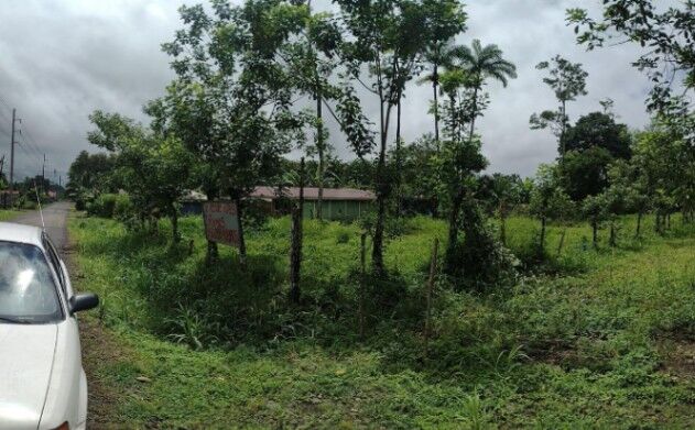 TRES LOTES EN VENTA en La Fortuna de San Carlos en La Fortuna, San Carlos, Alajuela — ₡ 22 000 000