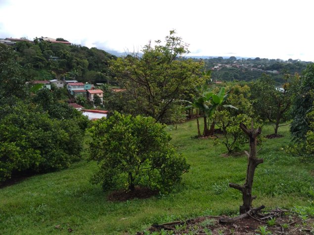 Venta de terreno en Dulce Nombre de Naranjo, Alajuela. en Naranjo, Alajuela — ₡ 150 000 000 - Foto 3 de 54