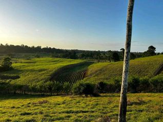 Venta de Finca ganadera en Moravia de Cutris en San Carlos en Cutris, San Carlos, Alajuela — $3,200,000 - Foto 5 de 21