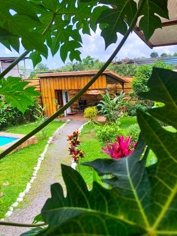 Oportunidad: 2 Airbnb Trabajando a 5 Minutos de La Fortuna in Peñas Blancas, San Ramón, Alajuela — $385,000 - Photo 3 of 18