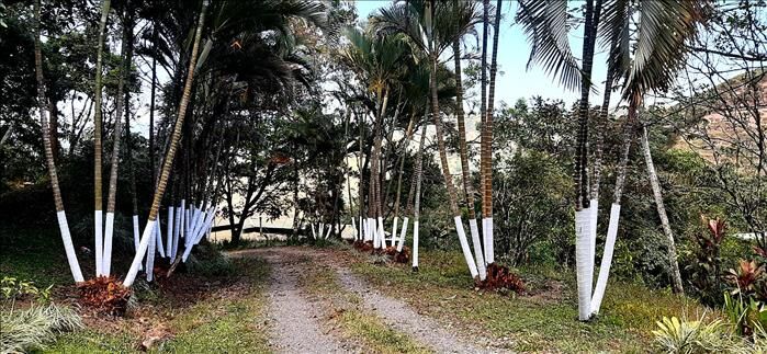 OPORTUNIDAD!! Se Vende Finca de 15,000 m²  in Guayabo, Mora, San José — ₡ 139 000 000