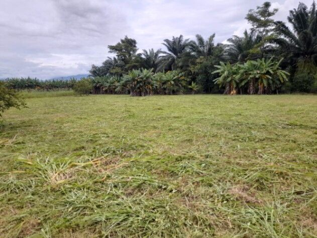 VENTA DE LOTE en Parrita, Puntarenas — ₡ 12 000 000