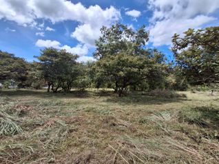 Lote en Venta, Guanacaste, Liberia, Cañas Dulces 5PDN9630579 en Cañas Dulces, Liberia, Guanacaste — $215,000 - Foto 2 de 25
