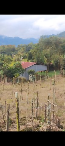 Venta de terreno..para quinta y agricultura in Santiago, Paraíso, Cartago — ₡ 95 000 000