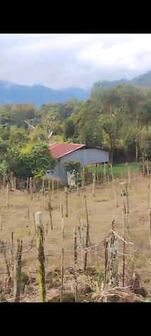 Venta de terreno..para quinta y agricultura en Santiago, Paraíso, Cartago — ₡ 95 000 000